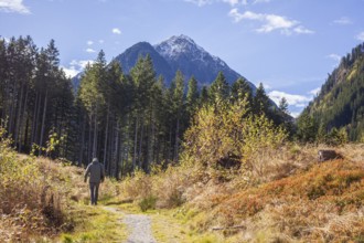 Forest and mountains with hikers and hiking trail near Ranalt in autumn, Ranalt, Neustift im Stubai