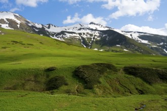 Green meadows in front of snow-covered mountains under a blue sky with clouds, Zagari Pass,