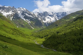 River flows through green valley with snow-covered mountain views, Zagari Pass, Svaneti, Svaneti,