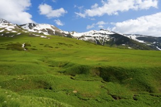 Wide green meadows lead to snow-capped mountains under clear skies, Zagari Pass, Svaneti, Greater