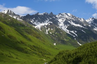 Snow-capped mountains under blue sky surrounded by forests, Zagari Pass, Svaneti, Greater Caucasus,