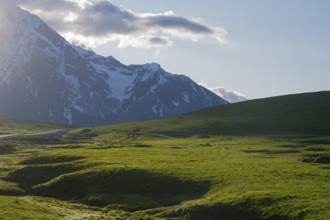 Green meadow in front of snow-covered mountain under sunshine, Zagari Pass, Svaneti, Greater