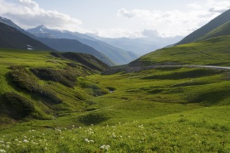 Scenic green valley stretches between mountain ranges under a cloudless sky, Zagari Pass, Svaneti,