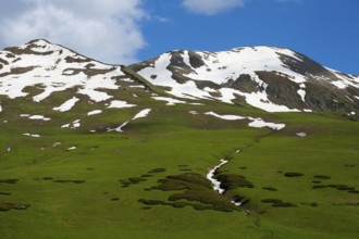 Grassy slopes with snowy peaks under blue sky, Zagari Pass, Svaneti, Svaneti, Greater Caucasus,