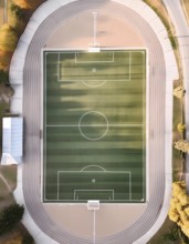 A soccer field with a white line in the middle. The field is surrounded by a track, AI generated