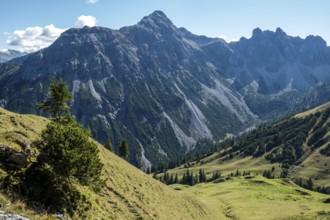 View from the Saalfelder Höhenweg to the mountains of the Allgäu Alps, Tannheimer Tal, Tyrol,