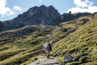 Female hiker on hiking trail, Sallfelder Höhenweg, back Schochenkopf, Tannheimer Mountains, Allgäu