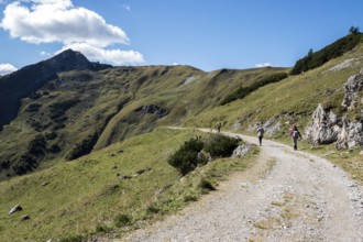 Hiking trail, view from the Saalfelder Höhenweg, Schochenkopf in the back, Allgäu Alps, Tannheimer