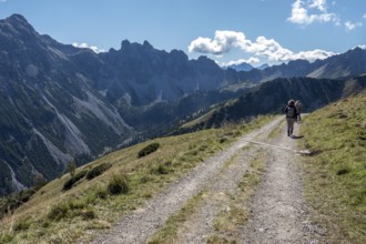 Hiking trail, view from the Saalfelder Höhenweg to the mountains of the Allgäu Alps, Tannheimer