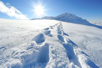 Footprints in the snow, a walk in the mountains in winter on a sunny day, AI generated