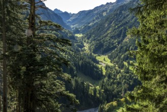 View of the Rappenalptal, near Einödsbach, Birksau, Oberstdorf, Oberallgäu, Allgäu, Bavaria Germany
