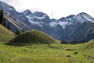 View of Hintere Einödsberg-Alpe, back mountains of the Allgäu Alps with Wilder Mann and