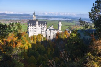 Neuschwanstein Castle on a wooded hill overlooking a green landscape with a wide panorama and blue