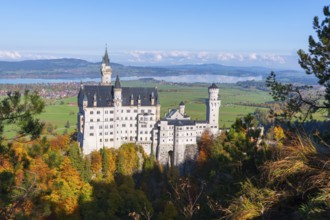 Impressive view of Neuschwanstein Castle over a tree-lined hill in autumn colors, Schwangau near