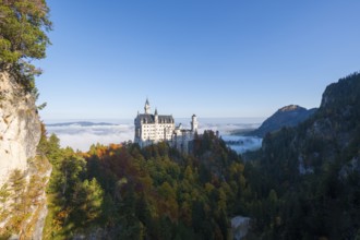 Historic Neuschwanstein Castle in the midst of a dense forest landscape and rock walls under clear
