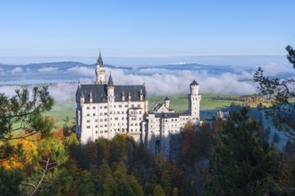 Romantic Neuschwanstein Castle in picturesque surroundings with colorful autumn forest and green