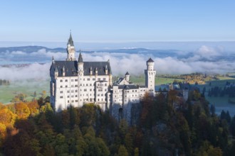 Impressive Neuschwanstein Castle perches over a green valley surrounded by autumnal forests and