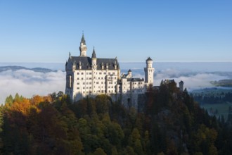 Majestic Neuschwanstein Castle on hills in front of a misty mountain panorama in autumn colors,