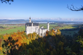 Romantic Neuschwanstein Castle towers over an open-air forest landscape characterized by autumn