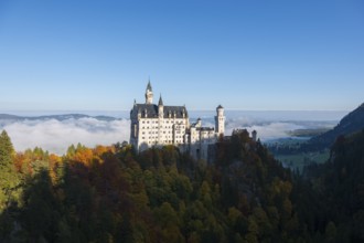Fairytale castle Neuschwanstein on a wooded hill in an autumn landscape with fog over the