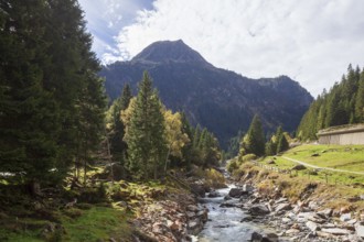 River Ruetz am Wilde Wasser Weg in autumn, WildeWasserweg, Stubai Valley, Tyrol, Austria