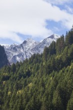 Forest and mountains on the Wilde Wasser Weg in autumn, WildeWasserweg, Stubai Valley, Tyrol,