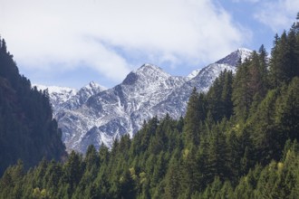 Forest and mountains on the Wilde Wasser Weg in autumn, WildeWasserweg, Stubai Valley, Tyrol,