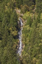 Waterfall with forest on Wilde Wasser Weg in autumn, WildeWasserweg, Stubai Valley, Tyrol, Austria