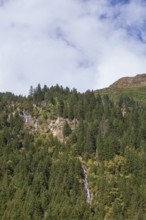 Waterfall with forest and mountains on Wilde Wasser Weg in autumn, WildeWasserweg, Stubai Valley,