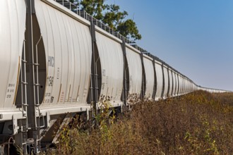 Luverne, Minnesota - Dozens of Halliburton covered hopper rail cars, used for carrying grain, are
