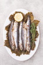 Baked fish, in grape leaves, with spices, on a white plate, homemade