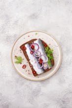 Sandwiches, Herring fish, on dark rye bread, sprinkled with onion, chili pepper and herbs, on a