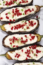 Fried eggplant with sauce, decorated with microgreens and pomegranate seeds, eggplant appetizer,