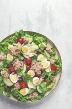 Tuna salad, vegetable salad with quail eggs, lettuce, red onion and cucumbers, on a light gray