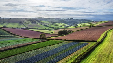 Fields and Farms at evening sun from a drone, Shaldon, Torquay, Devon, England, United Kingdom
