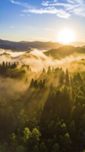 Sunrise casting rays over a misty forest landscape with distant mountains, Fog covered forest in