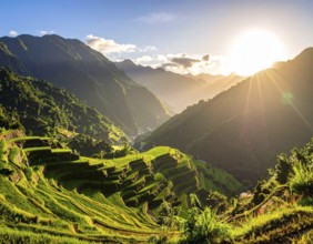Early morning light bathes Philippines rice terraces cascading down mountain slopes, beautiful