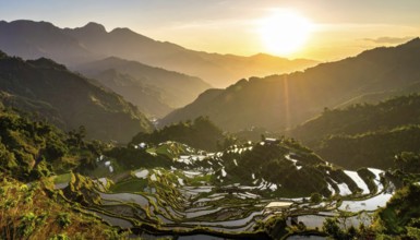 Early morning light bathes Philippines rice terraces cascading down mountain slopes, beautiful