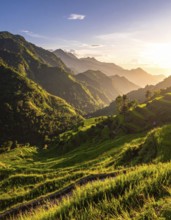 Early morning light bathes Philippines rice terraces cascading down mountain slopes, beautiful