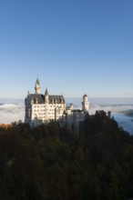 Neuschwanstein Castle towers over a sea of clouds and forests in the autumn sun, Schwangau near
