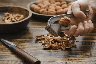 A person uses a nutcracker to open a walnut in a kitchen. There are bowls filled with walnuts