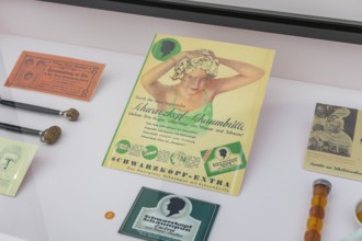 On October 25, 2025, the last hall of the permanent exhibition, Abenteuer Mensch, was opened with a