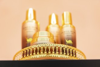 On October 25, 2025, the last hall of the permanent exhibition, Abenteuer Mensch, was opened with a