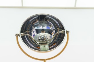 On October 25, 2025, the last hall of the permanent exhibition, Abenteuer Mensch, was opened with a