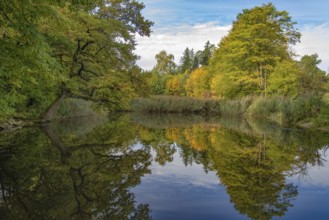 Pond on the edge of a colorful autumn forest, Bavaria, Germany