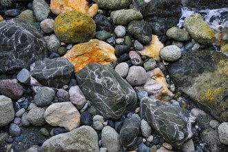 Colourful pebbles of various sizes with different patterns, on a beach in Liguria, Italy