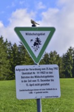 Vogel sits on a sign for information about the ban on entering the wildlife reserve, Allgäu,