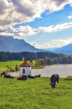 Chapel above the Hegratsried pond between Lake protected forest and Lake Forggensee near Füssen im