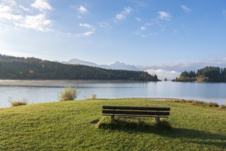 Wooden bench on grassy lakeside, with wooded hills and mountains in sunny skies, Forggensee,