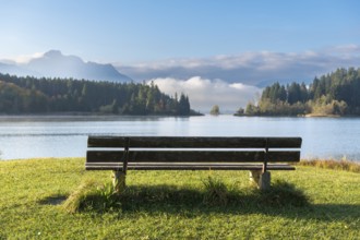 Wooden bench by the lake, surrounded by wooded surroundings and mountains, under a gently cloudy